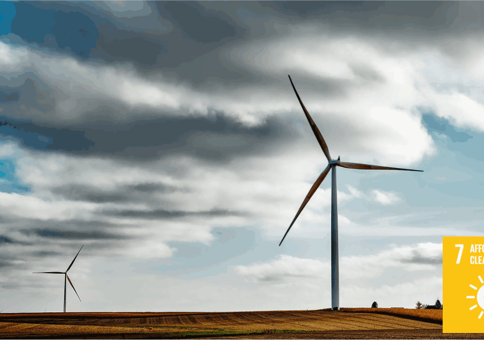 Clean Energy Capacity – Winning Situation by Developing Countries