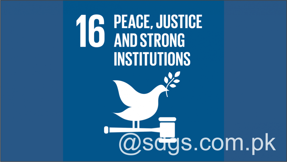 Discusses Institutional Aspects of SDG 161