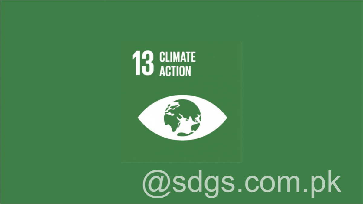 Momentum on SDGs, Climate Action