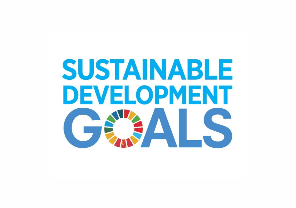 SDGs as Improvement over ESG Framework